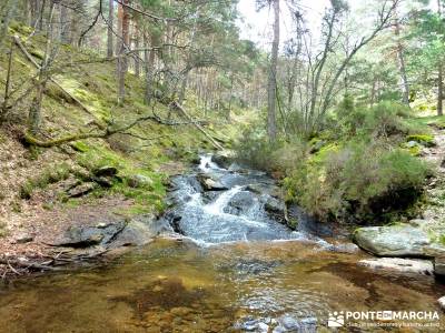 Sestil de Maillo - Cascada de Mojonavalle - Puerto de Canencia; rutas senderismo comunidad de madrid